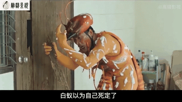 白蚁视频