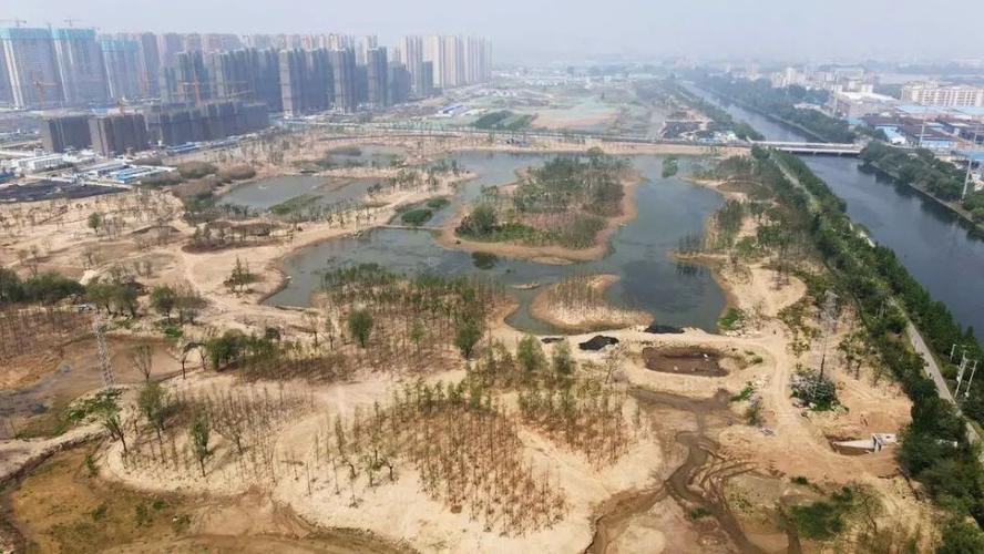 桃花源湿地公园进展截图3
