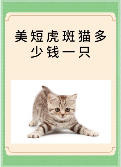 美短猫叫声mp3截图2
