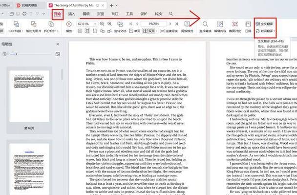 demo翻译成中文