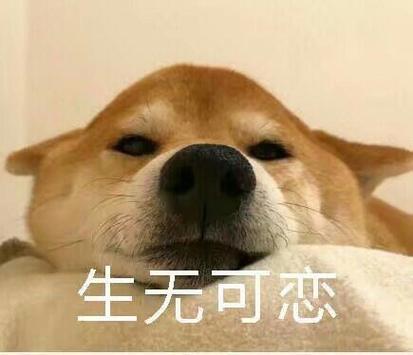 人为什么会生无可恋