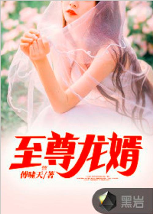 至尊龙婿全文免费阅读