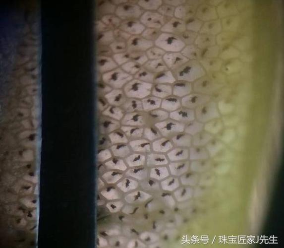猫眼石真假对照图
