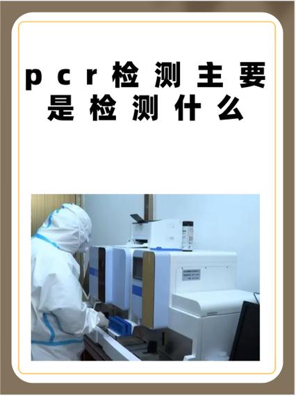 pcr怎么检查