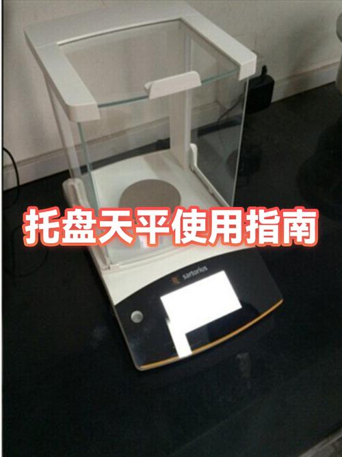 托盘天平的使用方法