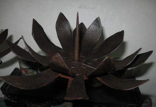 铁莲花刑具小说