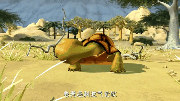 羞辱乌龟