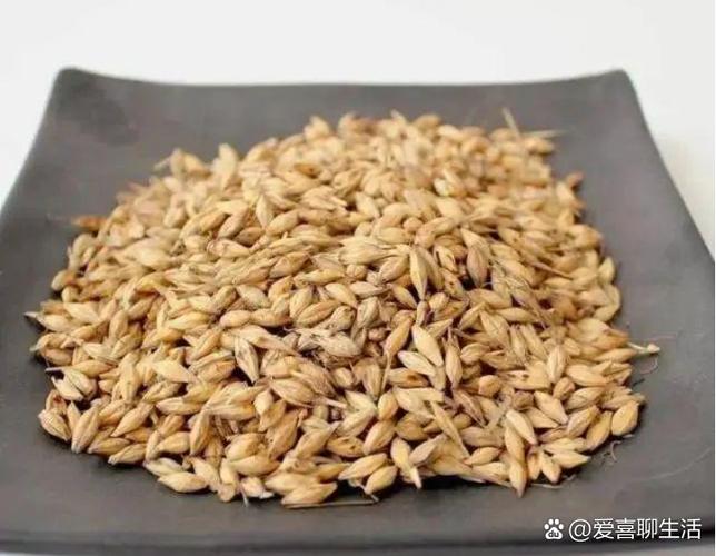 麦芽田和青云聚信哪个好用一点