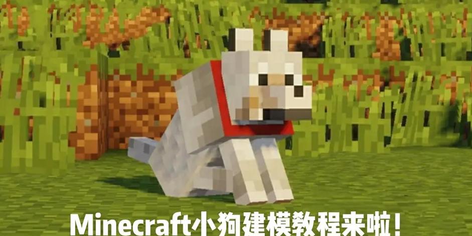 我的世界如何给狗命名