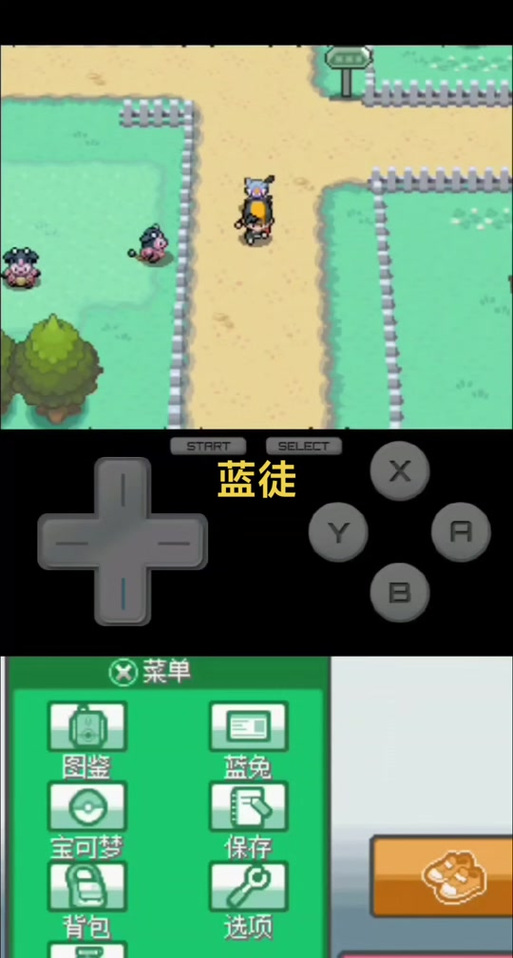 口袋妖怪心金一周目练级地点