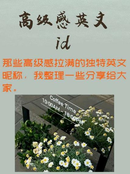 爱尔兰coisini什么意思