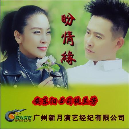 盼情缘安东阳司徒兰芳歌词