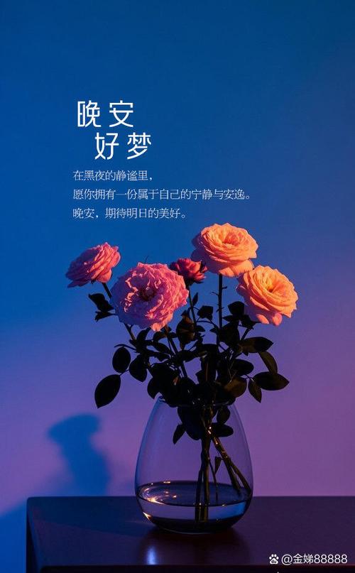 小来早晚安公众号介绍