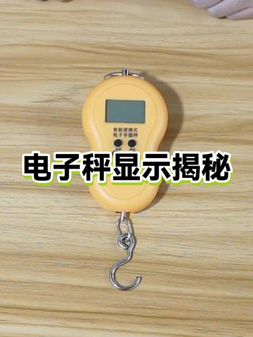 体重秤误差0.5斤正常吗
