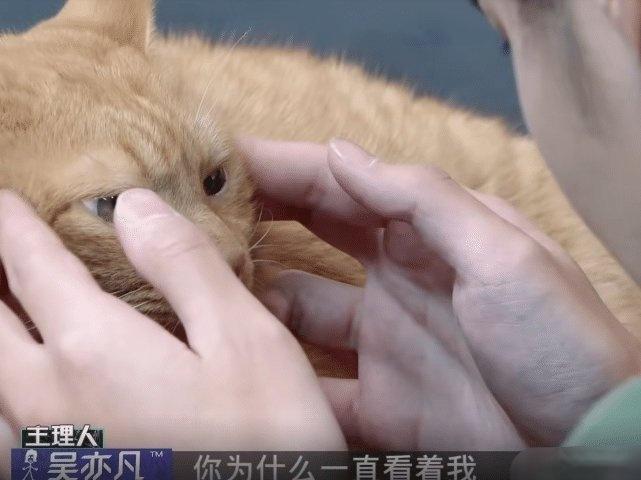 kathy猫猫潮流合伙人