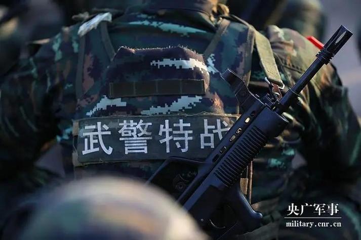 武警与解放军实力谁强