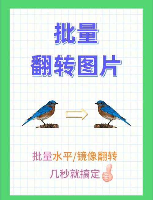 一甜相机图片怎么翻转