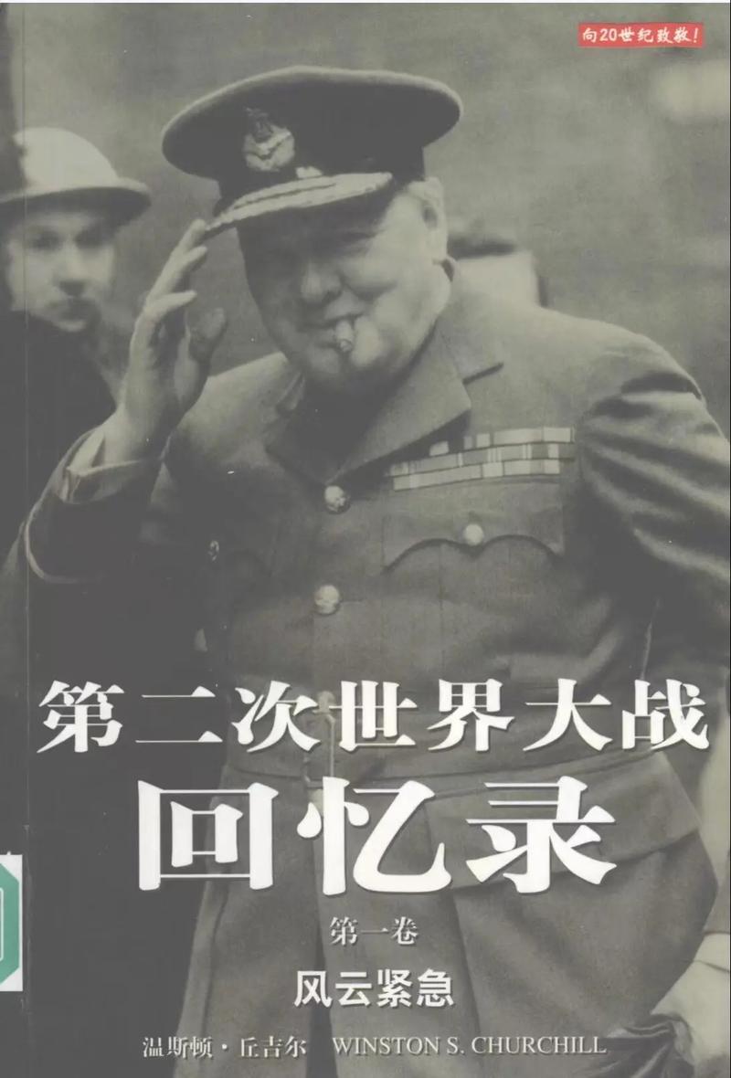 变成虎式到二战的小说