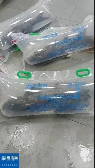 活鱼买回家怎样保存