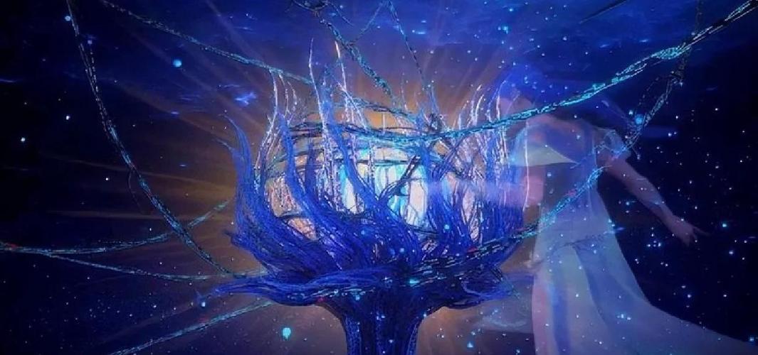 戴沐白的第九魂环