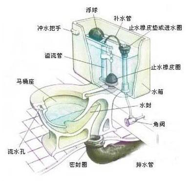马桶构造及疏通图