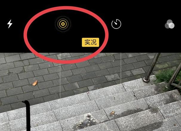 ipad拍照有实况吗