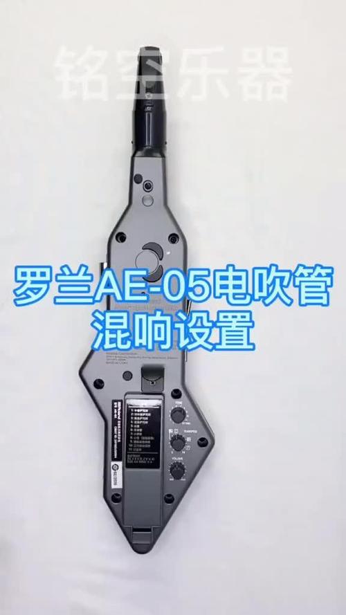 罗兰电吹管混响设置
