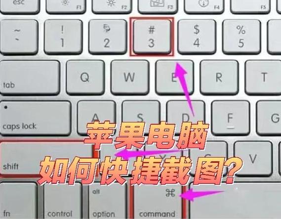苹果怎么添加截图快捷键