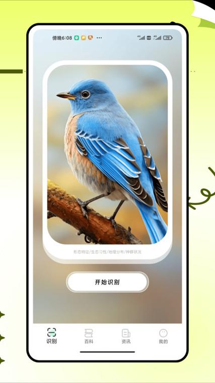 图标是一只橘色的鸟软件