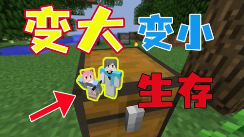 一个小立视频
