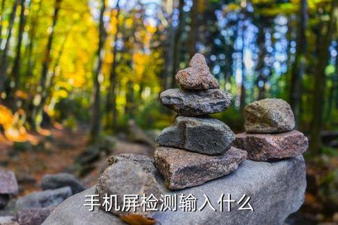 华为手机测试屏幕输入什么