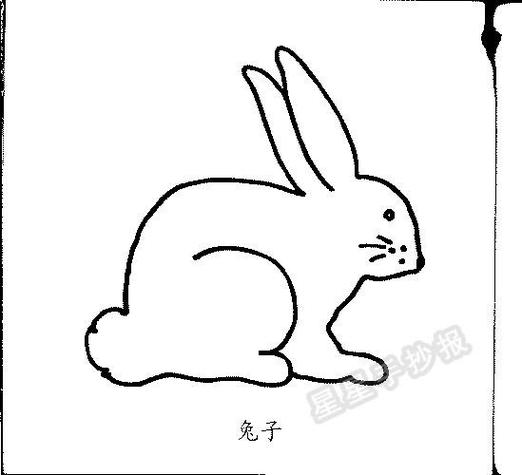 qq兔子简笔画红包