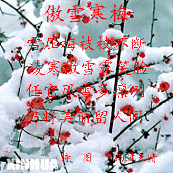 雪中约会的诗句