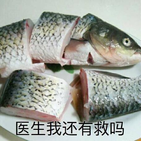 医生+我还有救吗