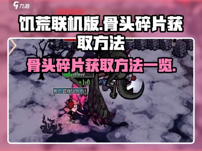 饥荒在哪找骨头碎片
