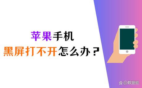 iphone菊花黑屏怎么办