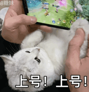 上号gif表情包