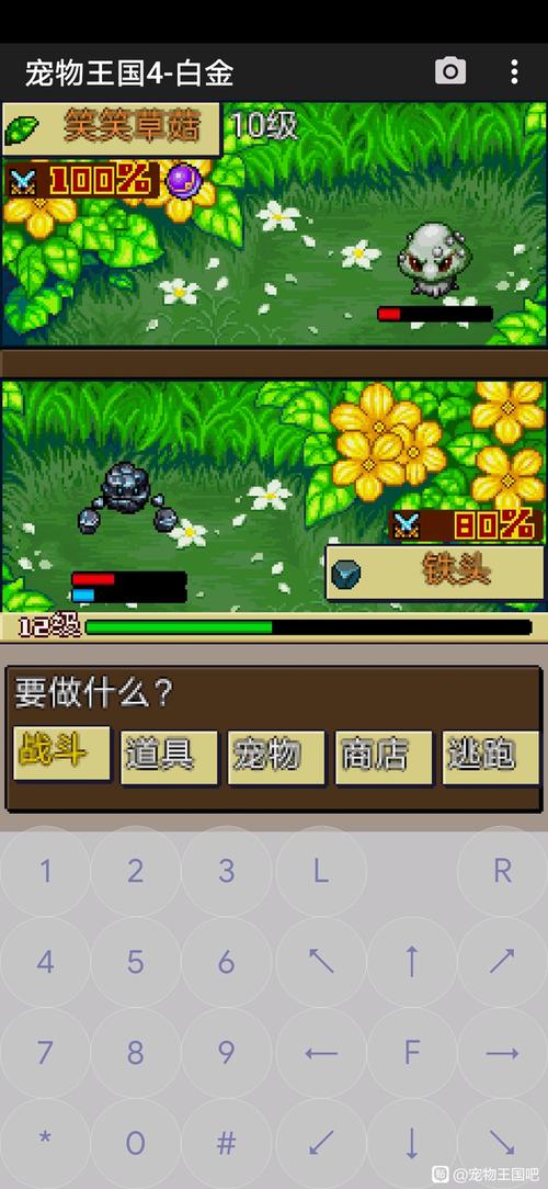 宠物王国白金BT