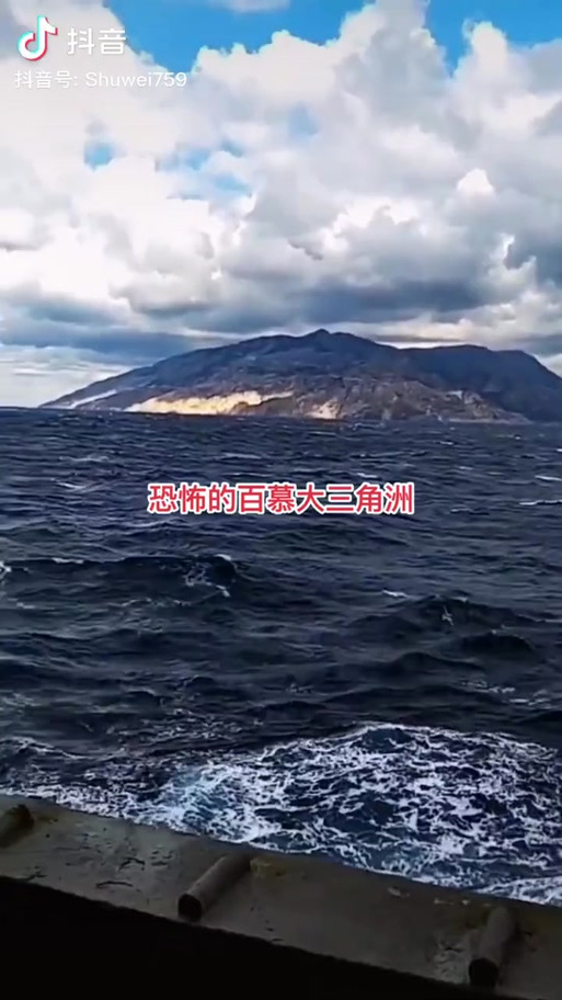 百慕大三角有鲨鱼吗