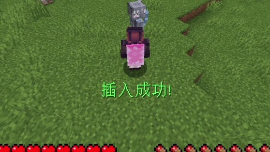 一起来玩末地烛2截图1