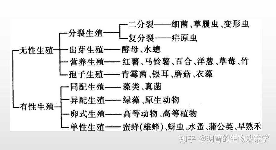 无性繁殖