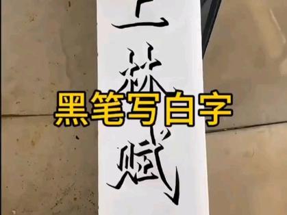 黑笔写白色字