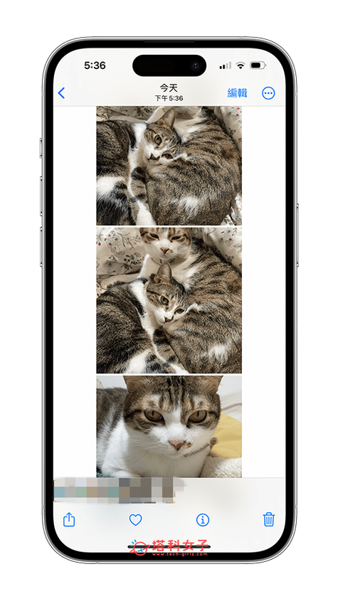 iphone照片合并成一张照片