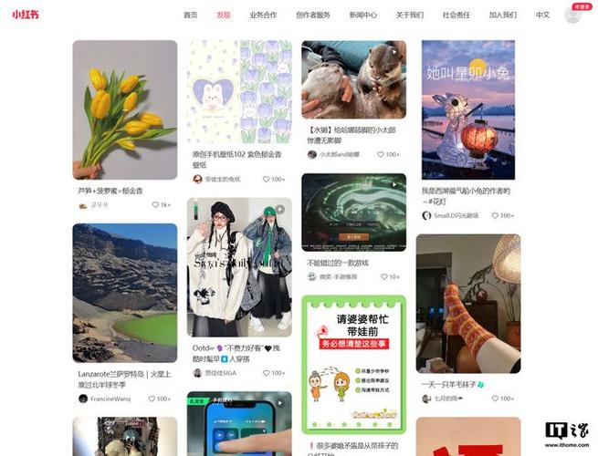 小红书网站网址