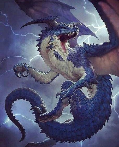 龙dragon截图3