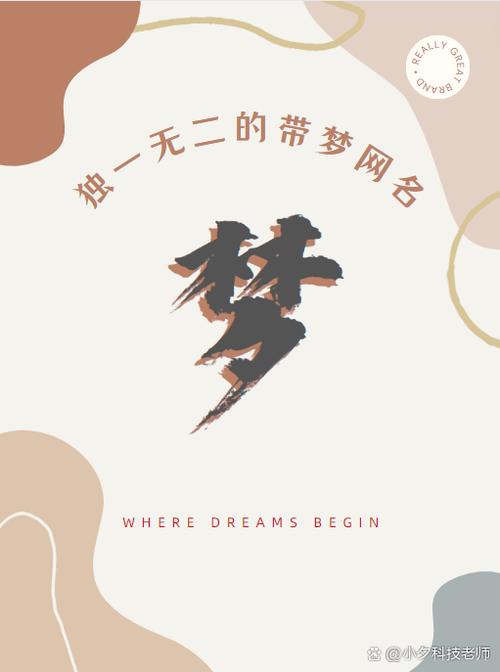 念梦最新消息