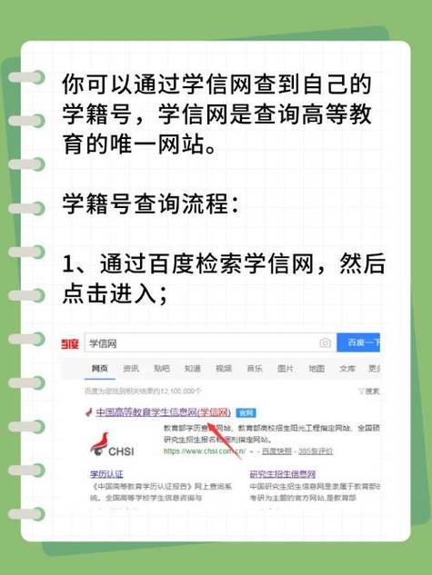 学籍号怎么查询