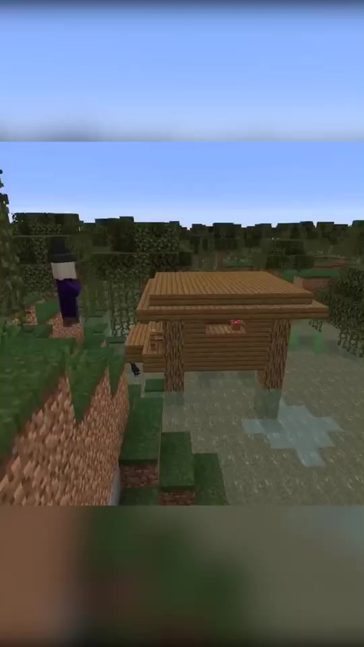 我的世界女巫小屋定位
