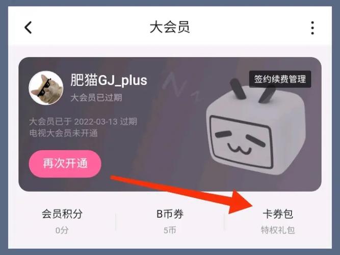 哔哩哔哩连续包月大会员