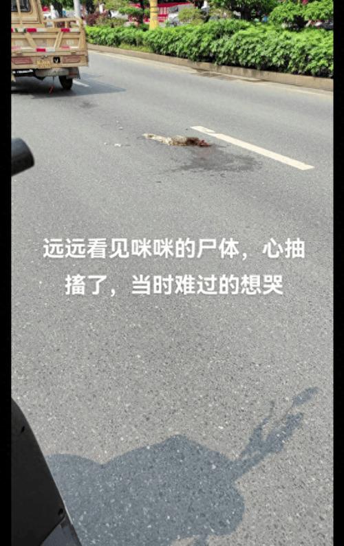 死人照片的处理方法